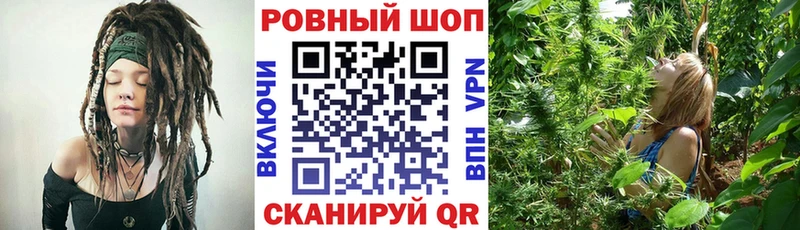 Галлюциногенные грибы Волжск