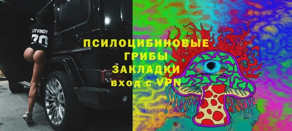 mdma Богородицк