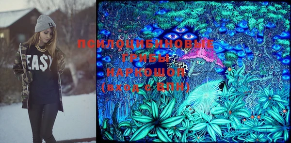 прущие грибы Беломорск