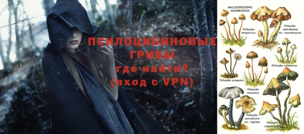 МДМА Богданович